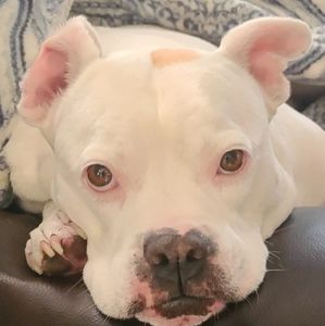 Meet your Posher, Margie